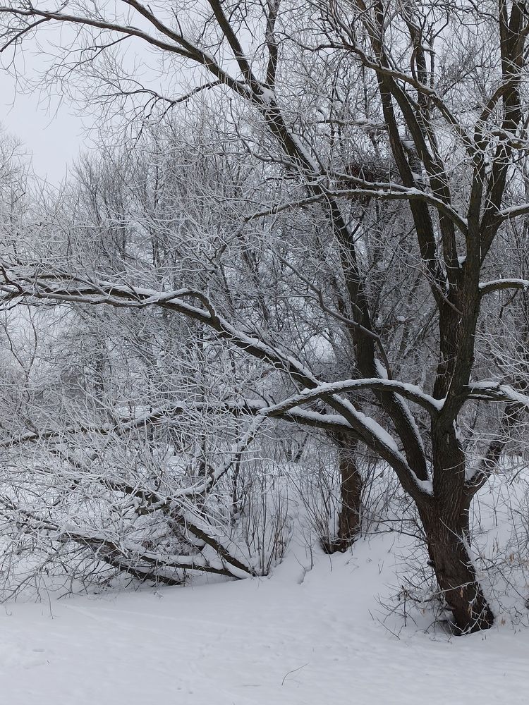 Photograph by Вера Родионова