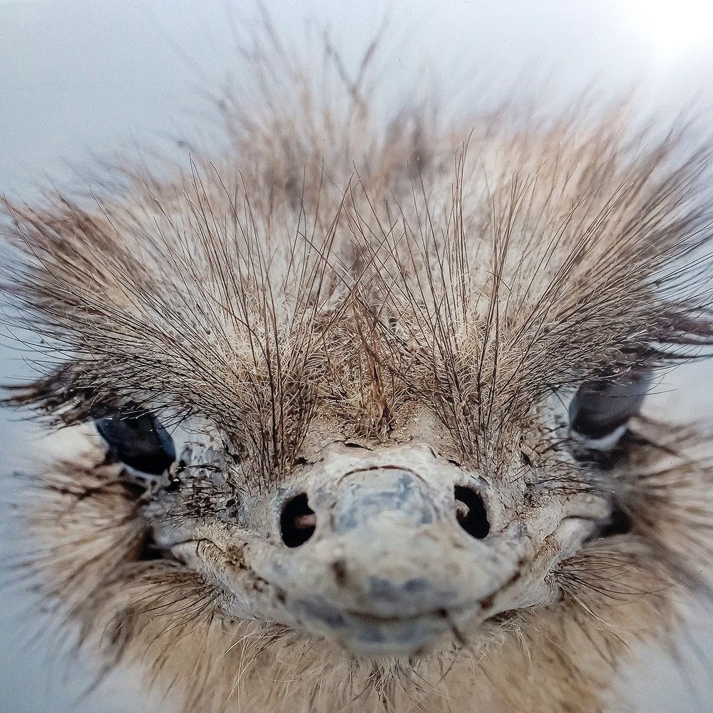 Photograph by Алексей Коношонкин