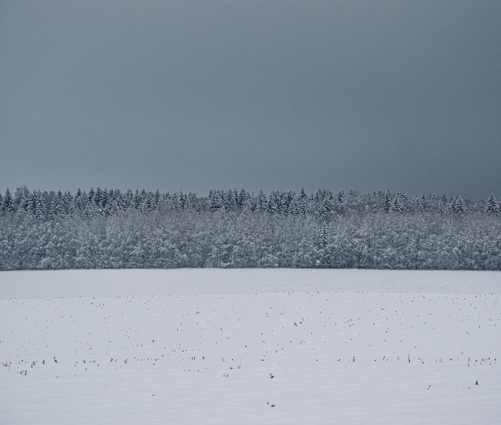 Photograph by Юлія Белая
