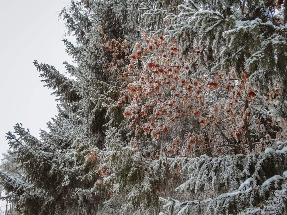 Photograph by Анжелика Трошина