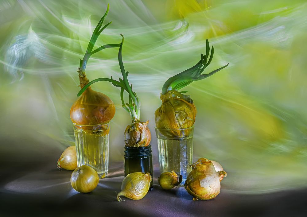 Photograph by Наталья Коньшина