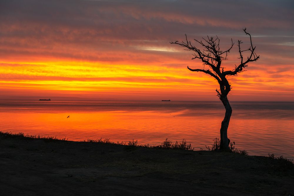 Photograph by Максим Уланов