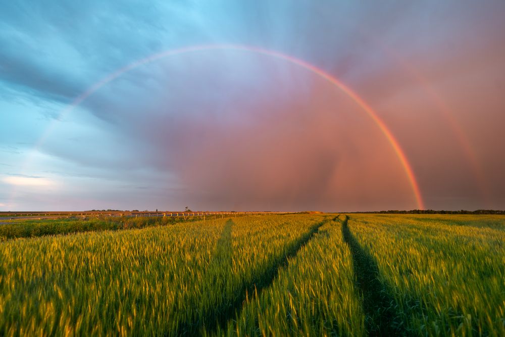 Photograph by Максим Уланов