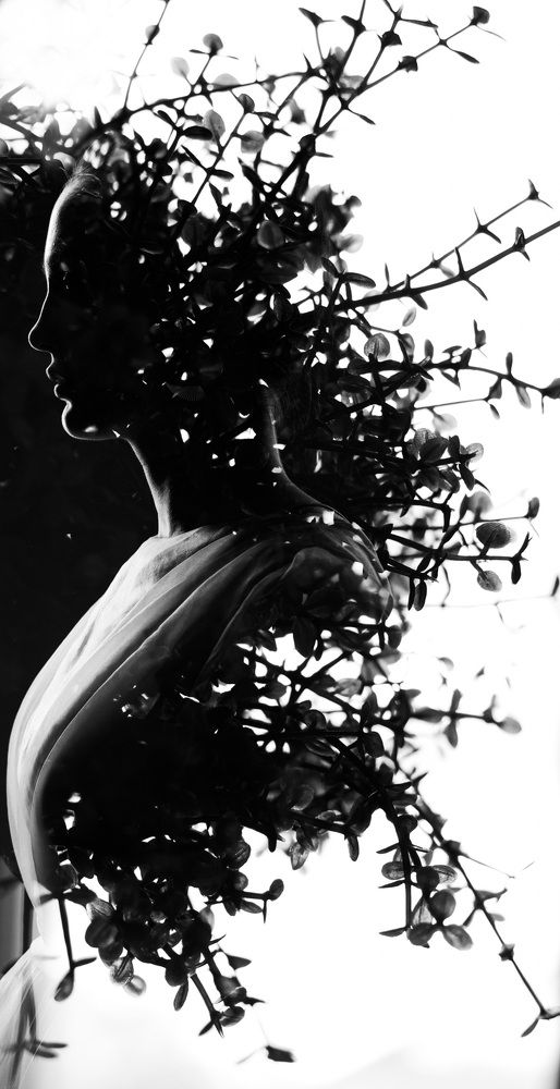 Фотография автора Нерсесьян Кристина