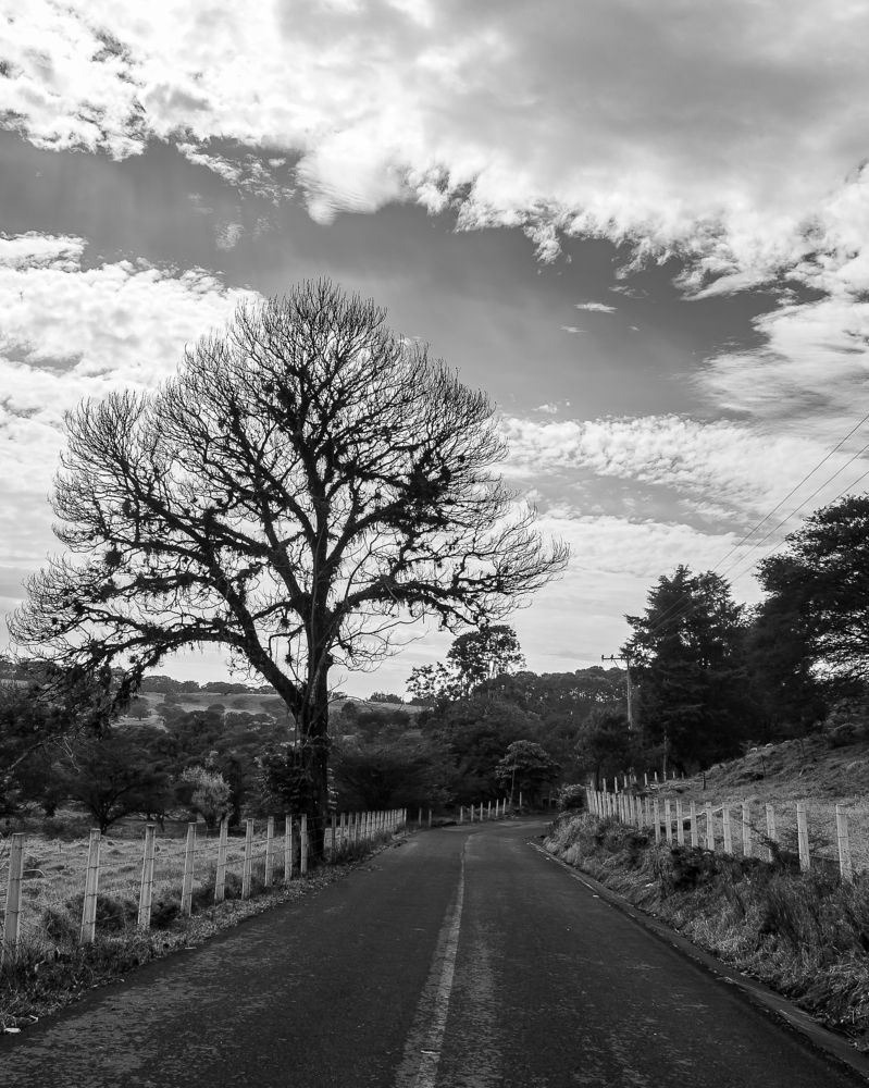 Photograph by Armando Lopez-Guerrero