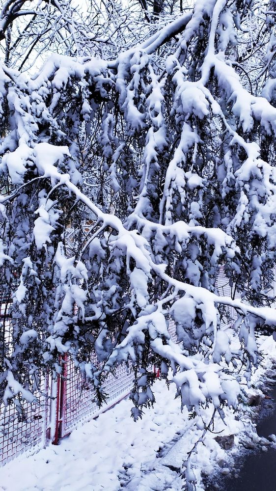 Photograph by Ольга Капко