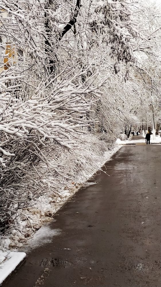 Photograph by Ольга Капко