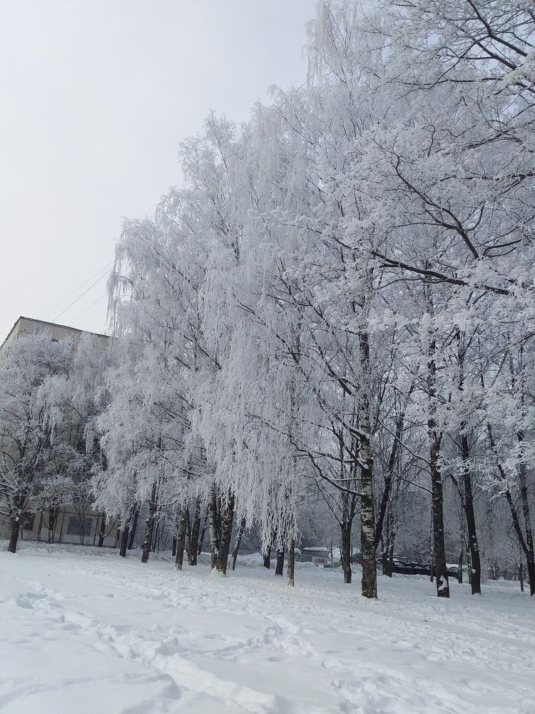 Photo #7179673