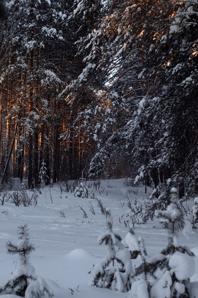 Photograph by Егор Пакулин