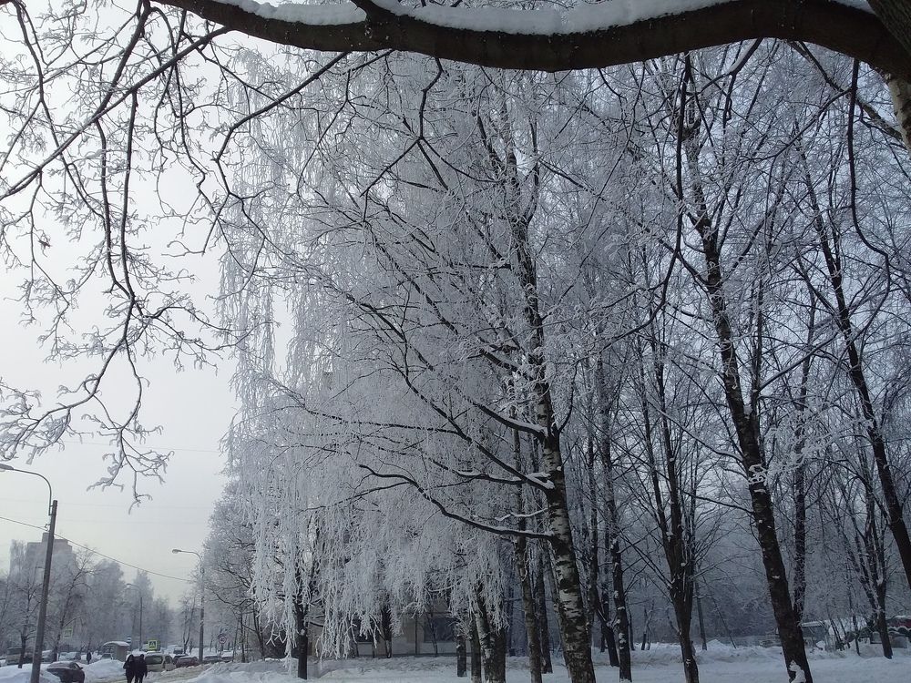 Photo #7179706