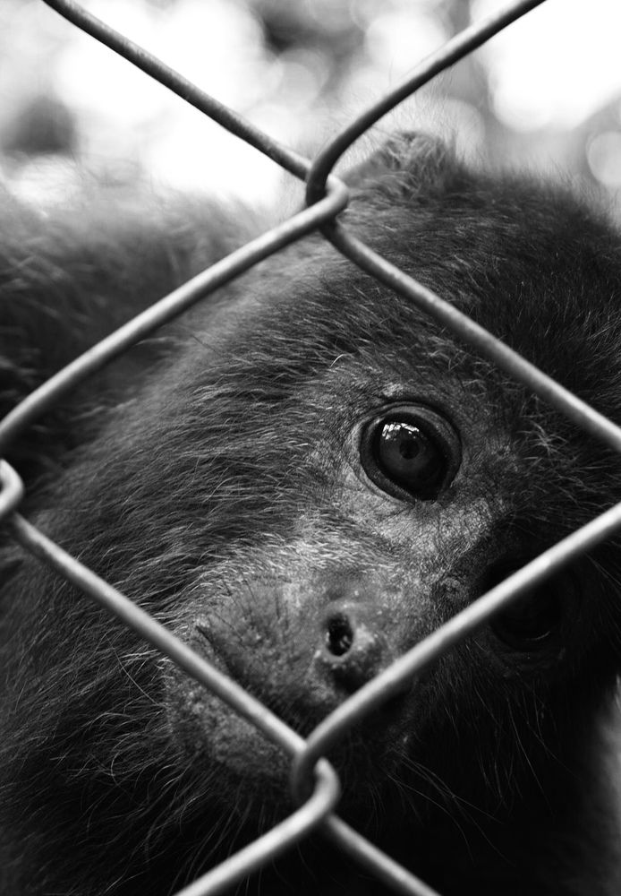 Photograph by François Murillo