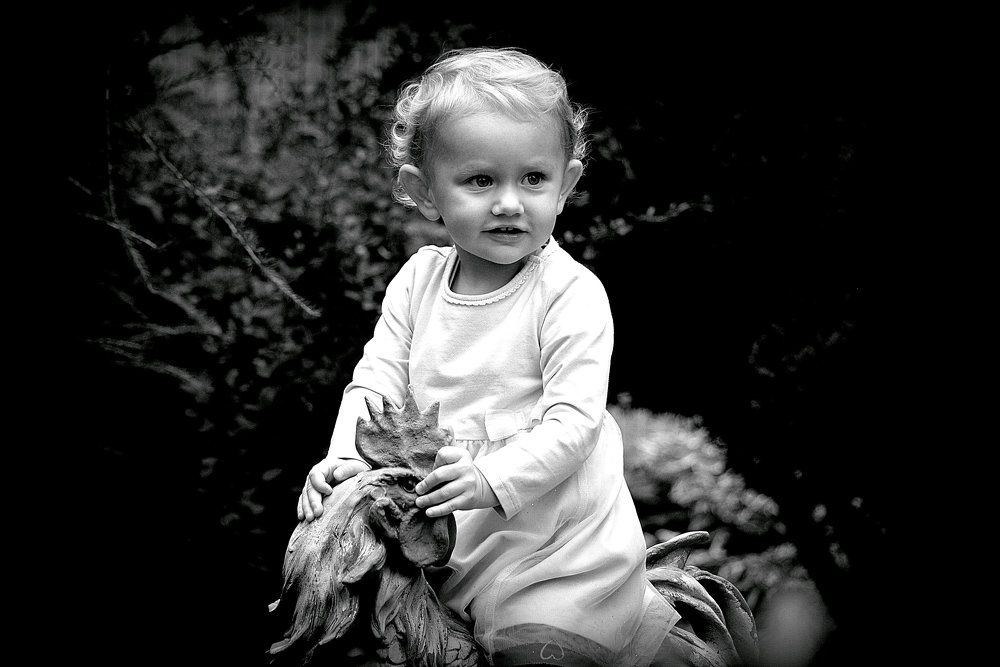 Любопытство... / Curiosity...