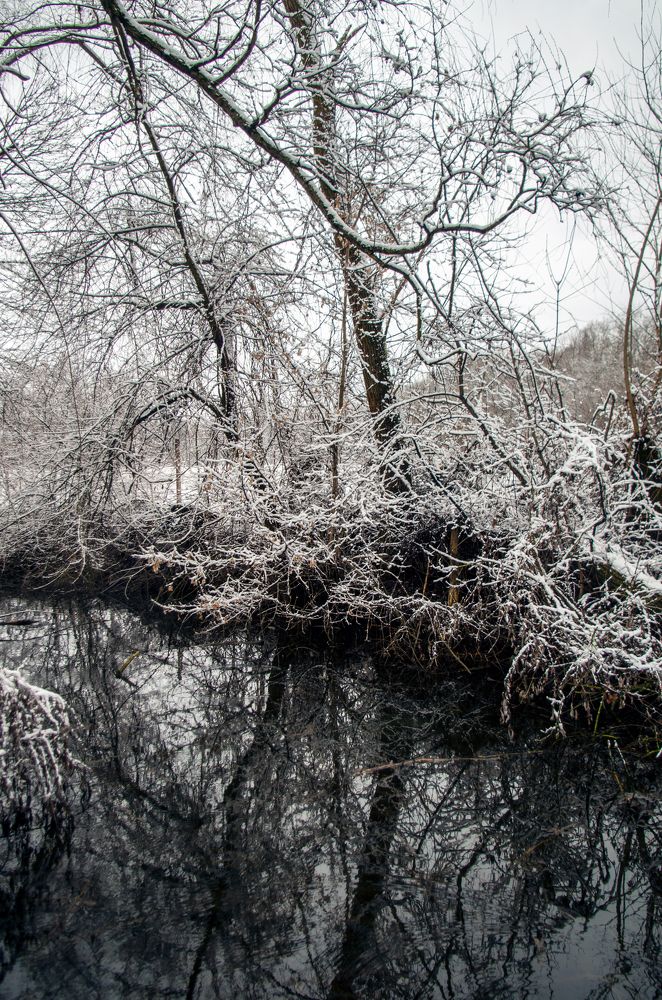 На балке в пос. Западном
