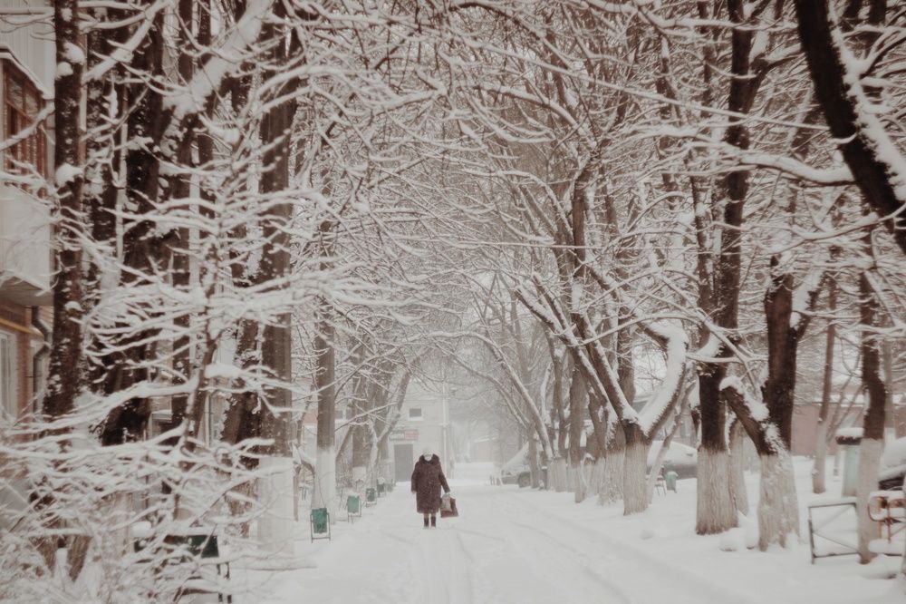 Photograph by Алёна Бондаренко