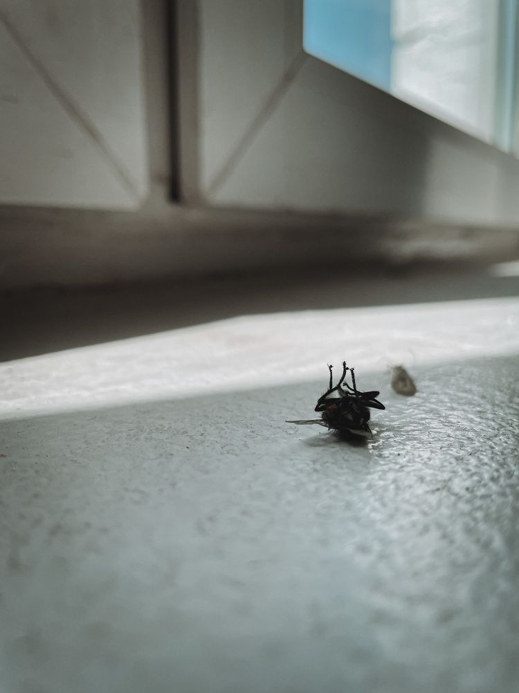 Photograph by Анастасия Могилевец