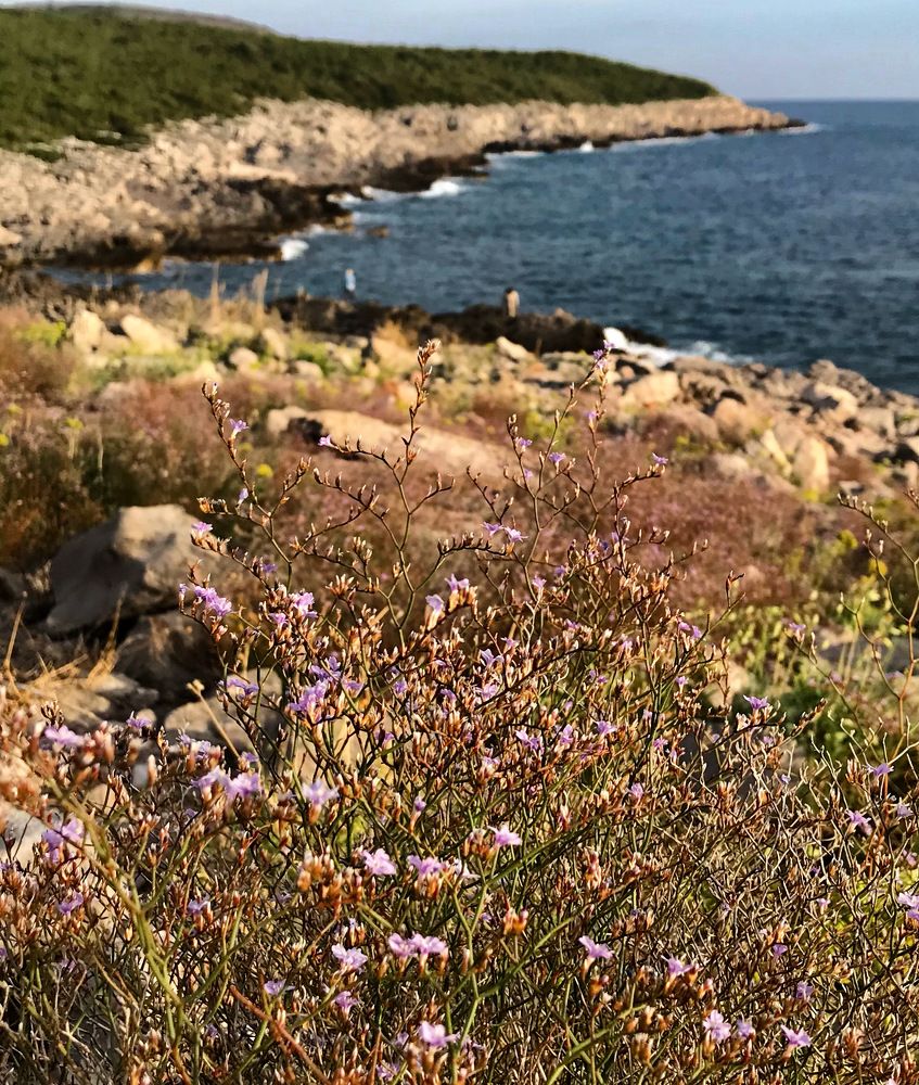 Photograph by Шестакова Наталья