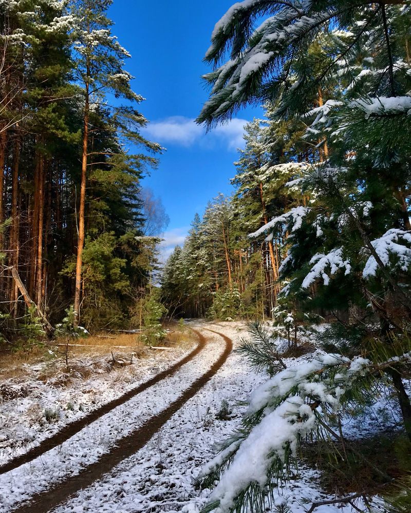 Photograph by Шестакова Наталья