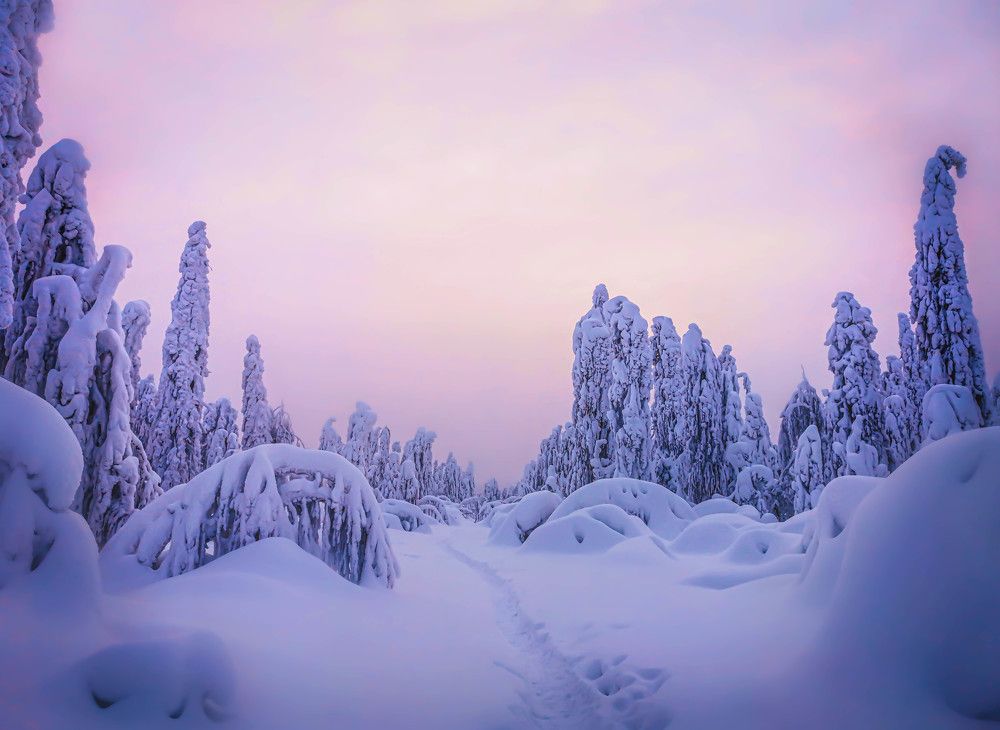 Photograph by Светлана Перминова