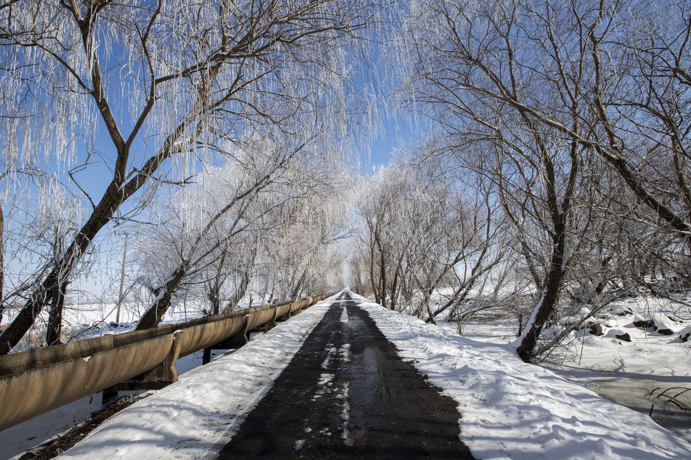 Photograph by mehmet kilicoglu