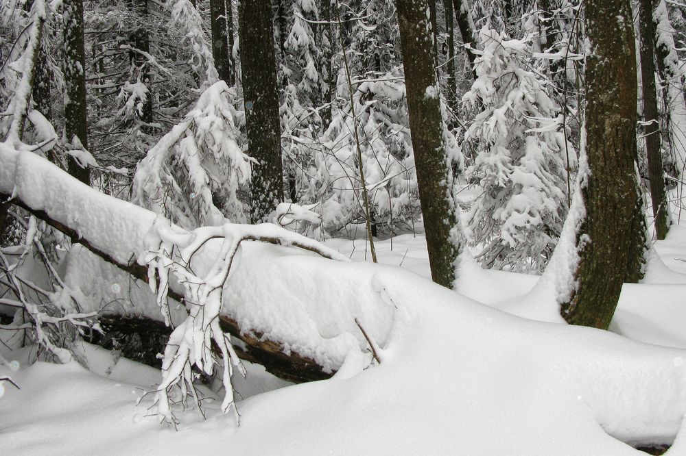 Photograph by Mоложников Юрий Николаевич