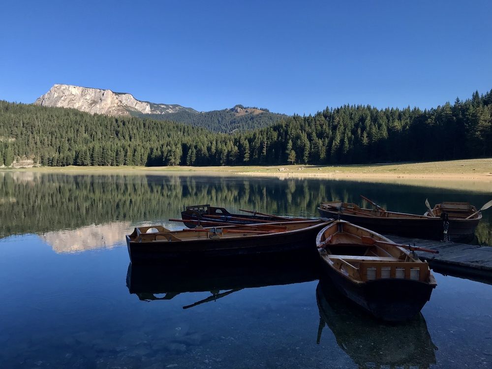 Photograph by Шестакова Наталья