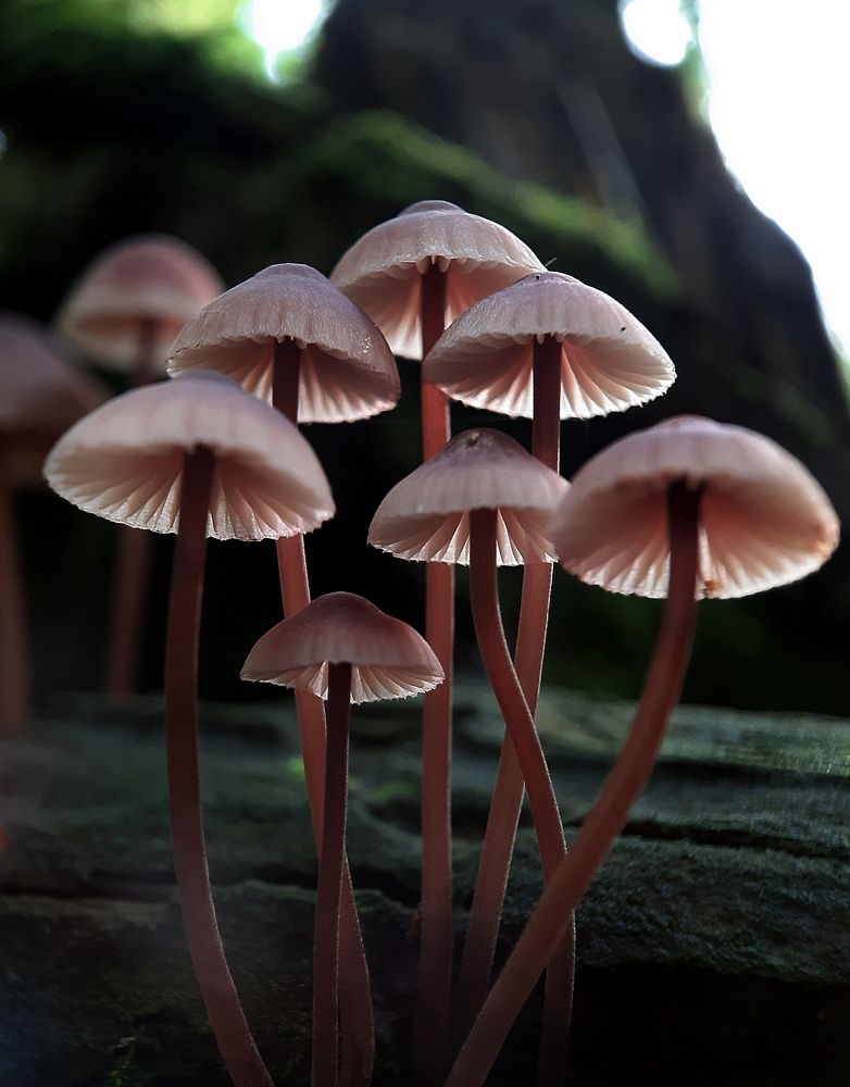 Photograph by Юлия Быкова