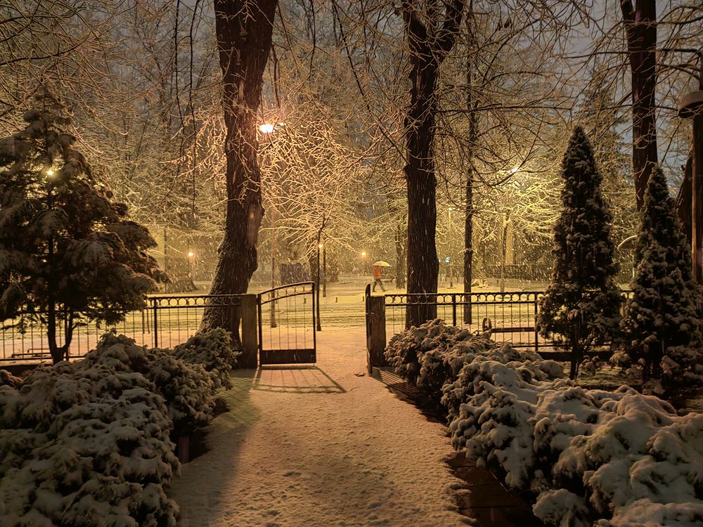 Photograph by jelena pavlovic