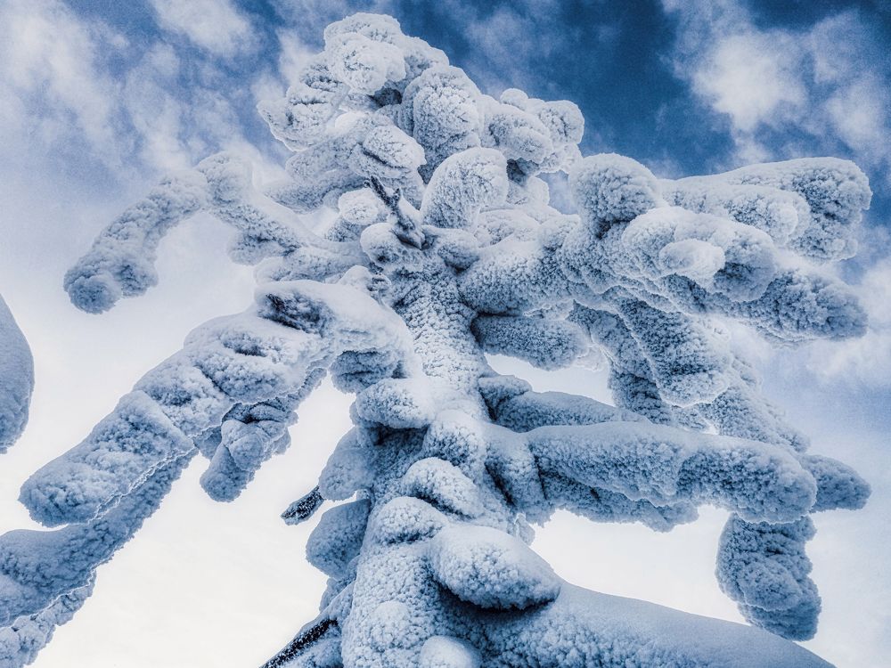 Photograph by Светлана Перминова