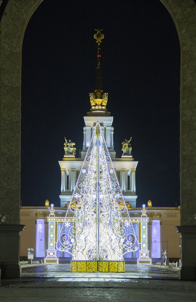 Photograph by Alena Poklonskaia