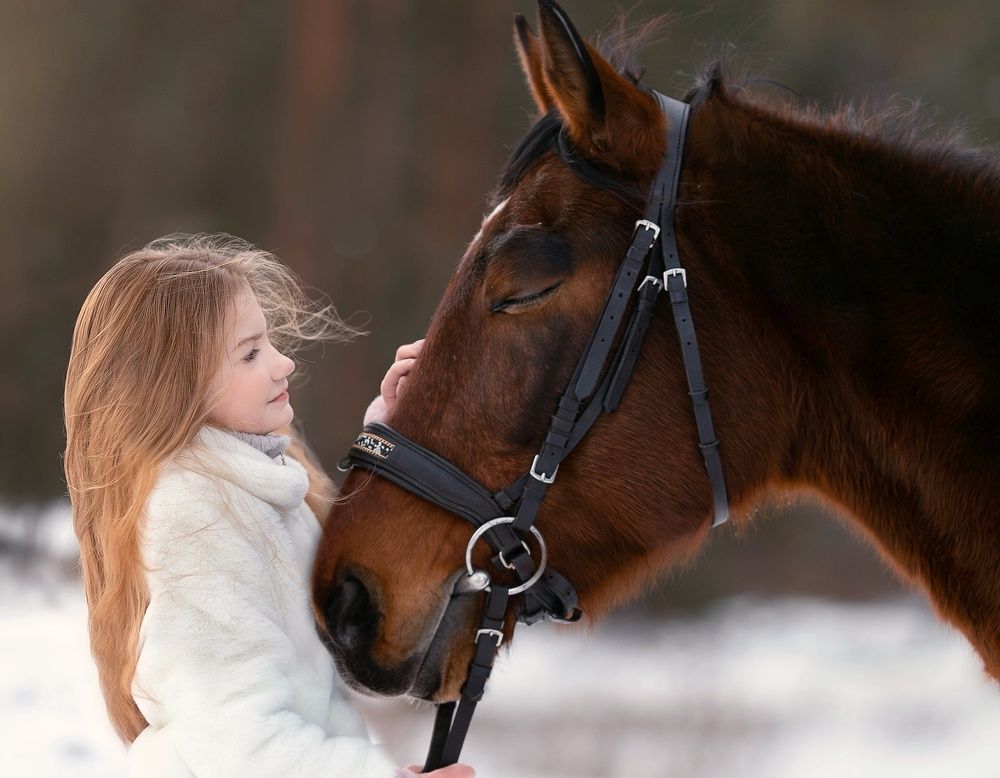 Photograph by Елена Алешечкина