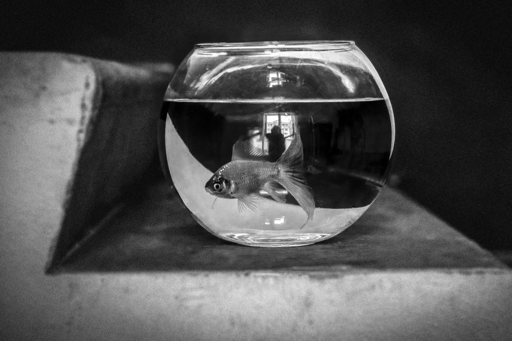 Photograph by Екатерина Нефедова