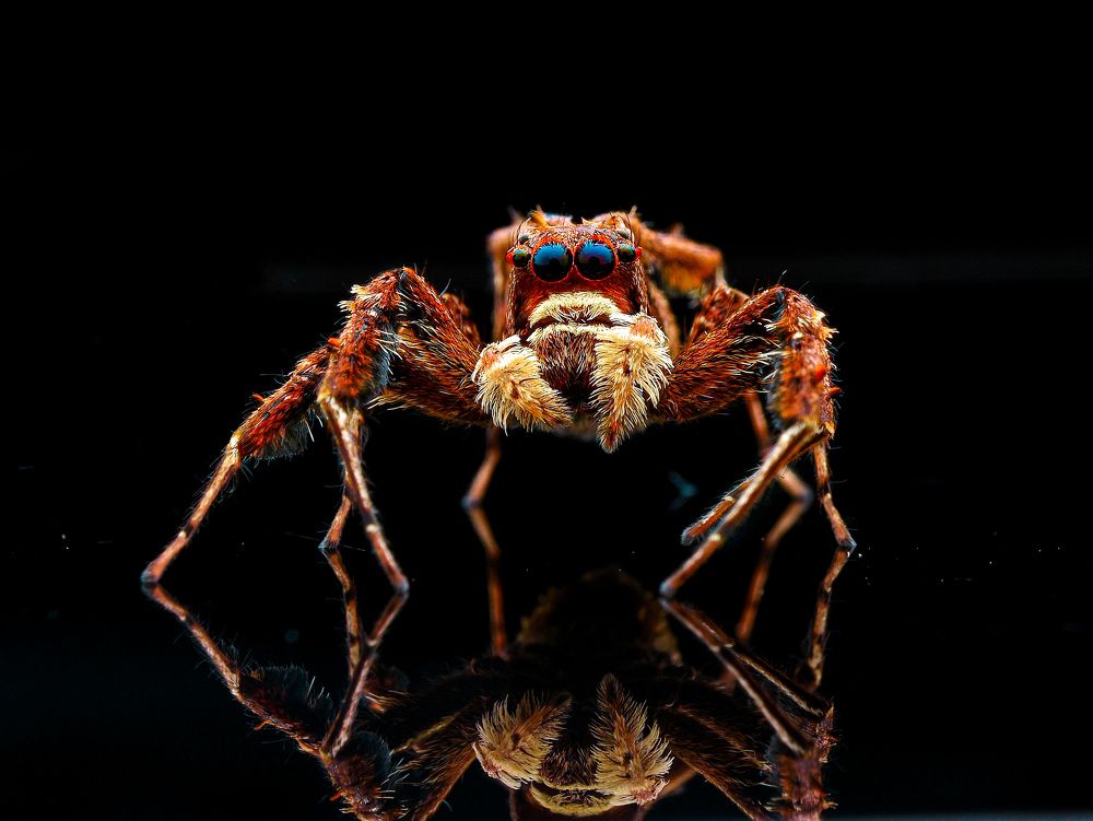 Photograph by Anjazz doz santoz