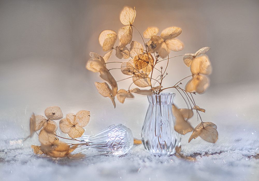 Photograph by Татьяна Александрова