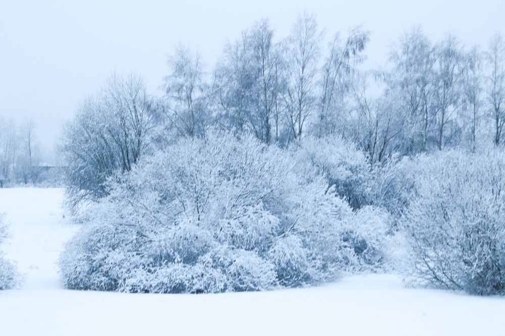 Photograph by Jelena Dzene