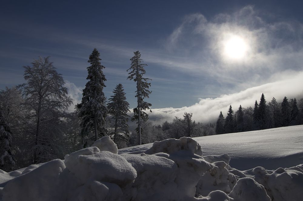 Photograph by jelena pavlovic