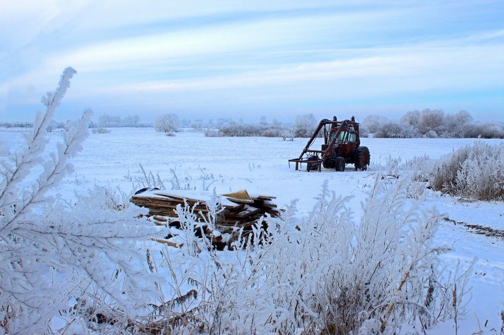 Photograph by Татьяна Черняева