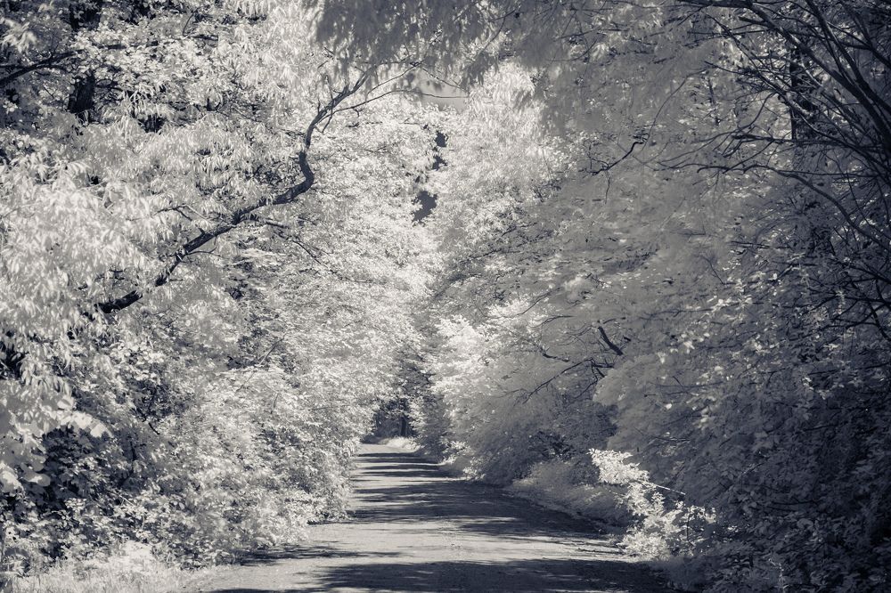 Photograph by Сергей Морозов