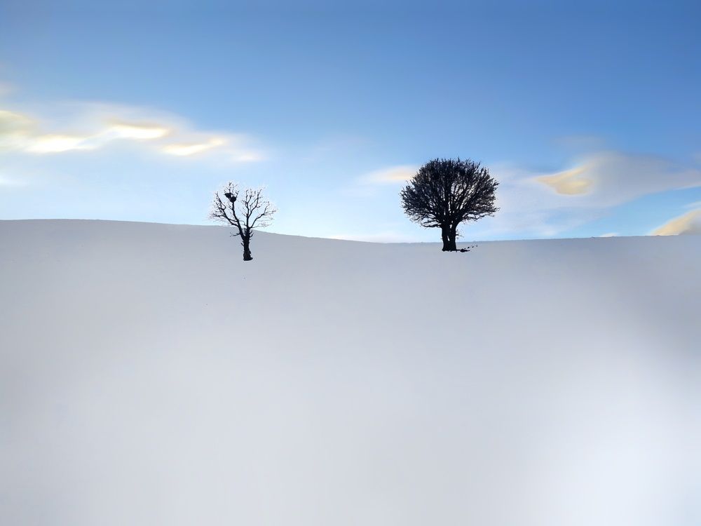 Photograph by Ali goreishi