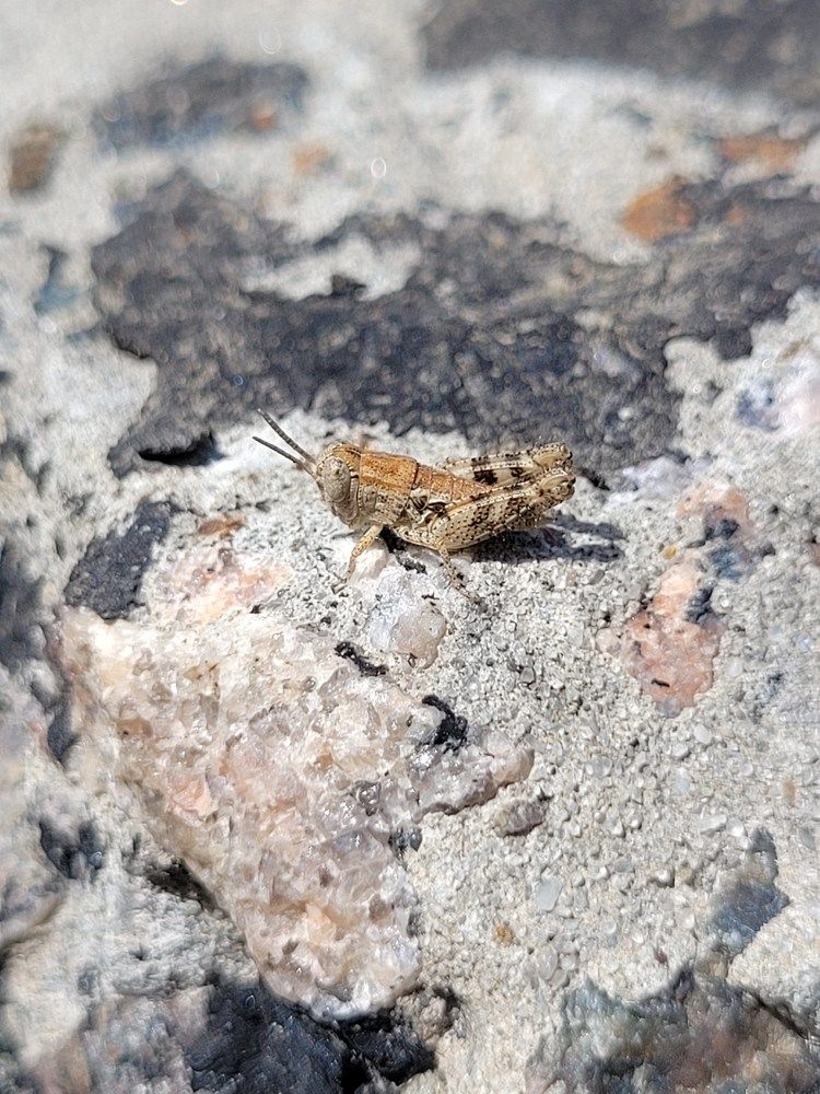 Photograph by Иван Мягкий