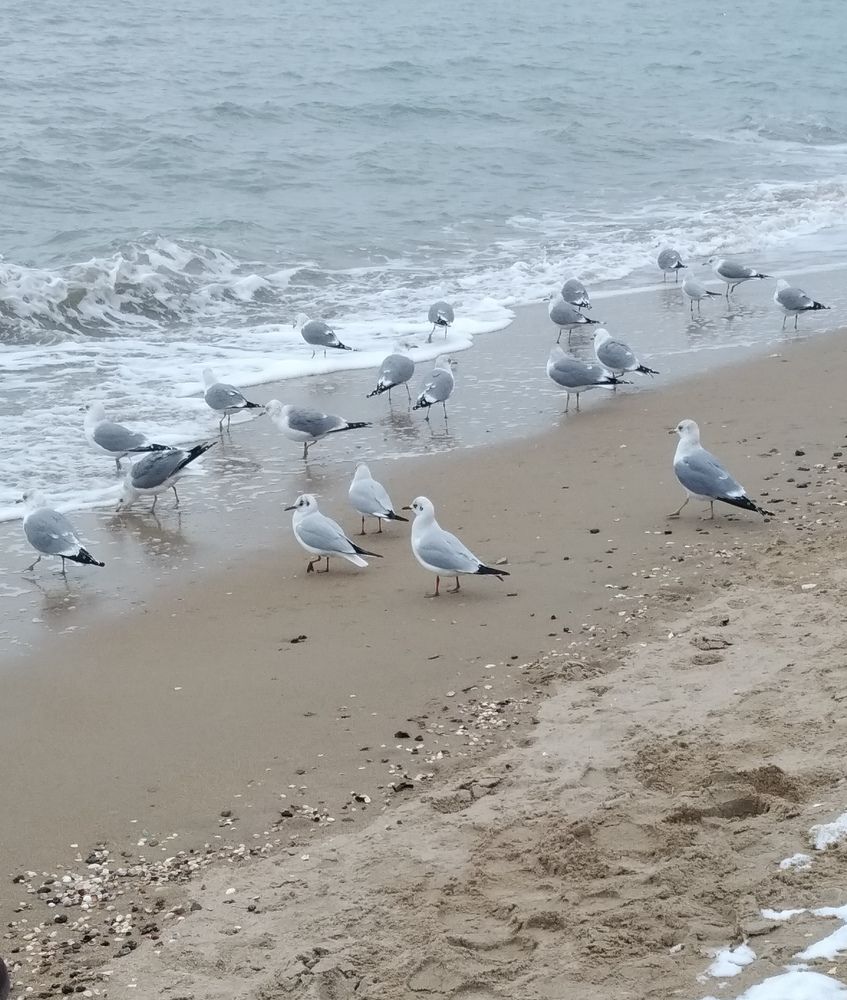 Photograph by Ирина