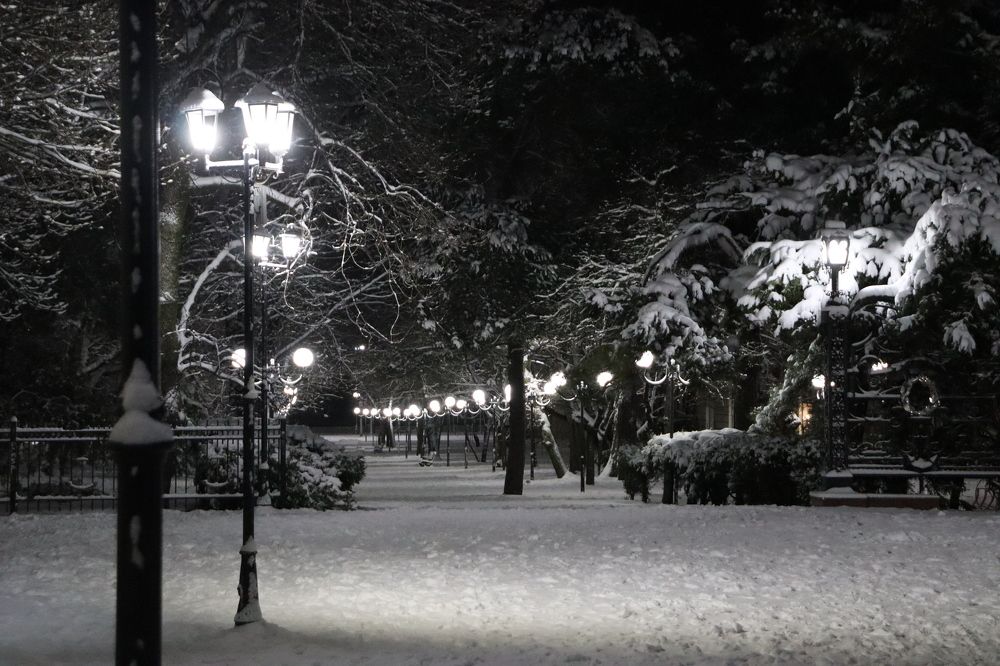 Photograph by Мария Мягкая