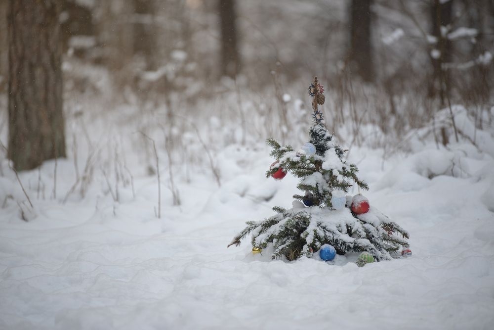 Photograph by Jelena Veršinina