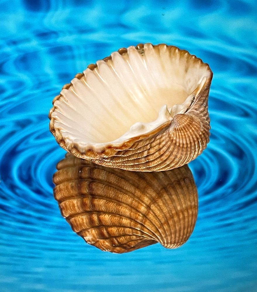 Photograph by Юлия Казакова