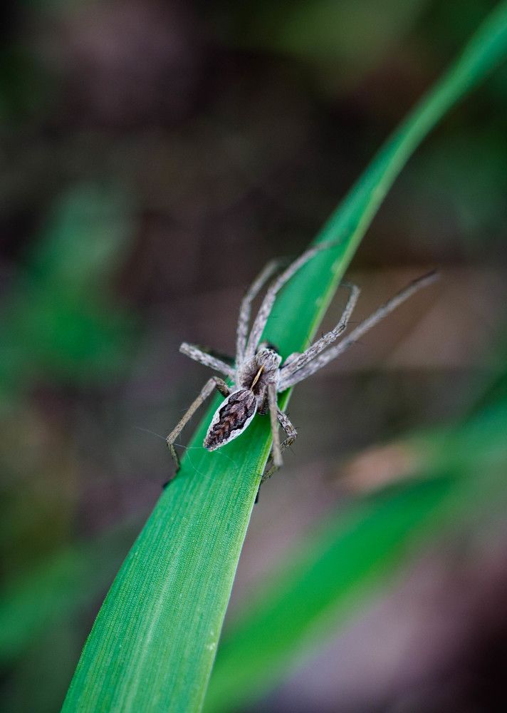 Photograph by Ирина Кошлюнова