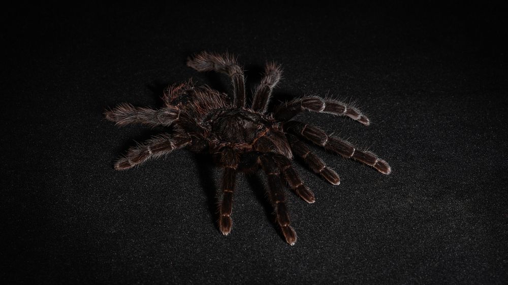 Photograph by Алексей Александрович Вешкурцев