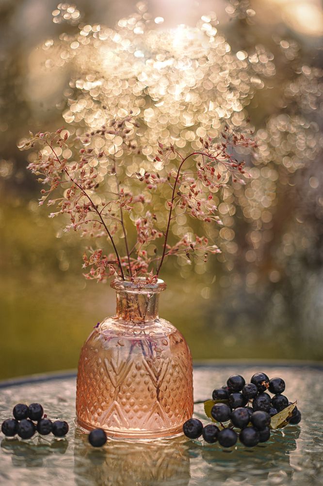 Photograph by Татьяна Александрова