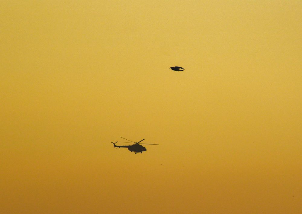 Photograph by TAMIM AL HASAN