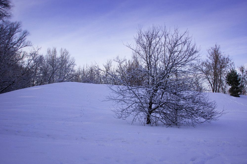 Photograph by Ирина Кошлюнова