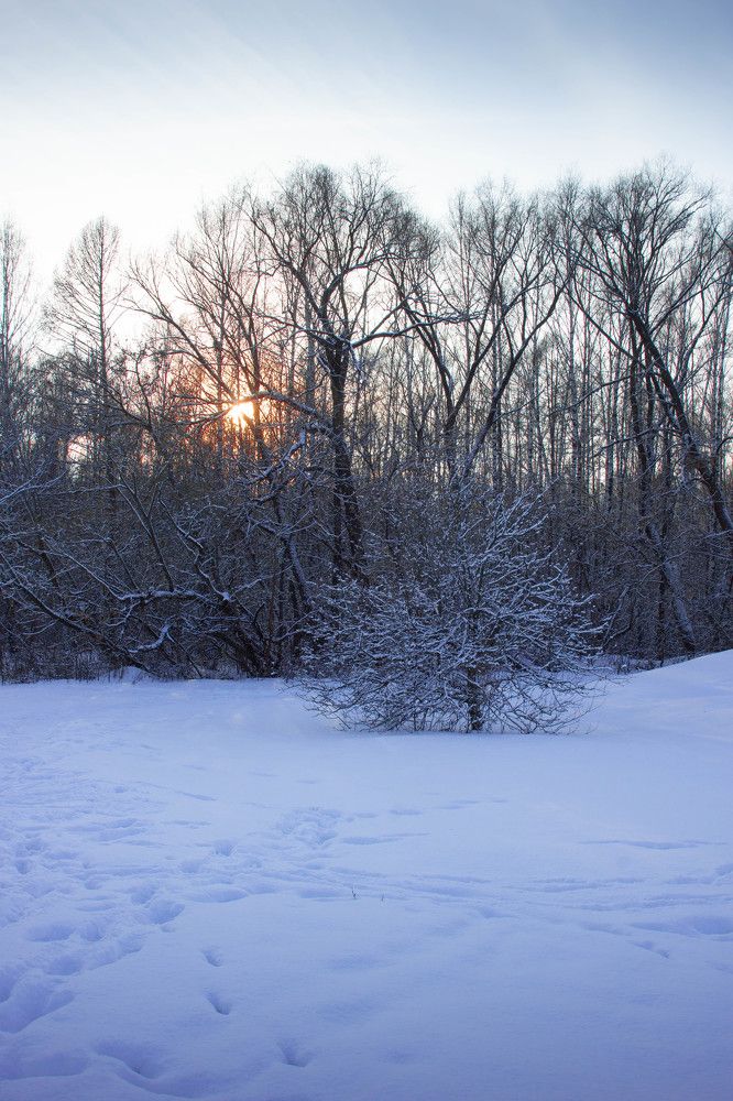 Photograph by Ирина Кошлюнова