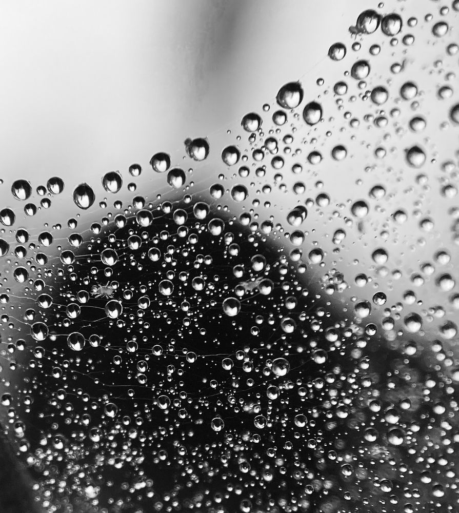 Фотография автора Анна Котлова